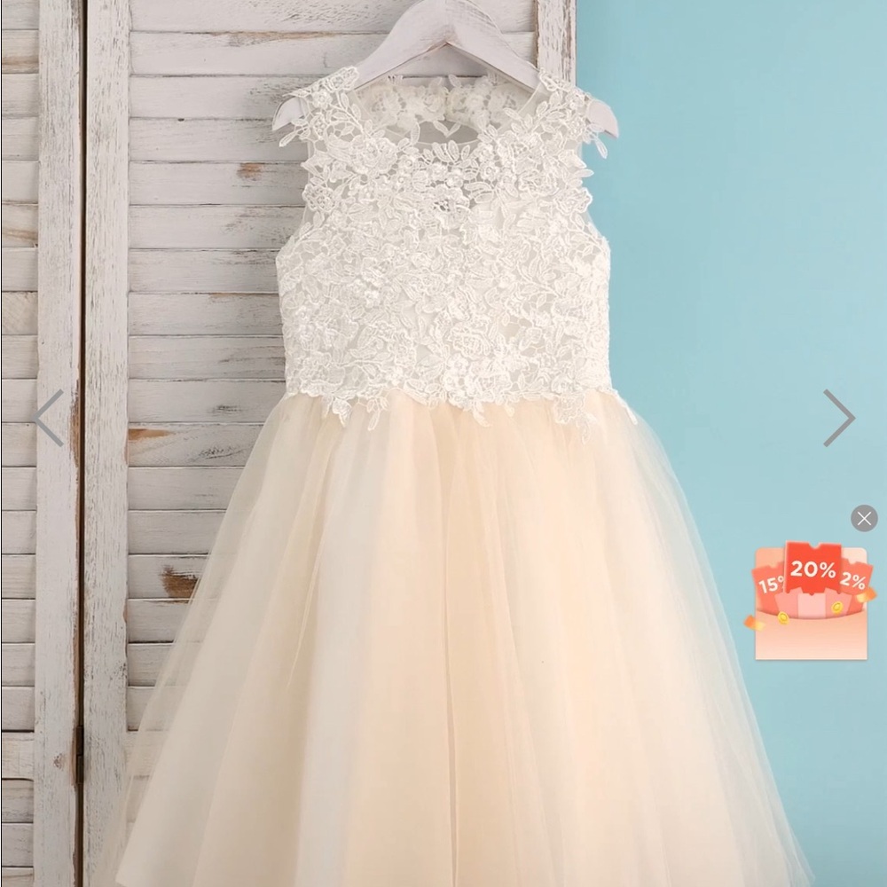 Flower Girl Dress 4T - Brand New (NWT)